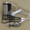 Elektro stimulering af penis og anus