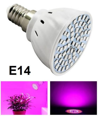LED gro lys E14 fatning